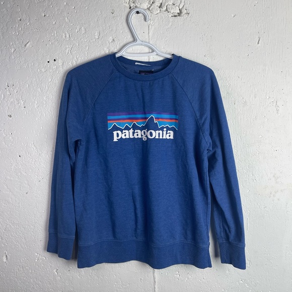 Patagonia Tops - Patagonia Sweatshirt size XL